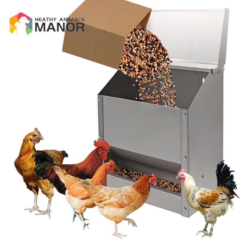 10L Stainless Steel Chicken Fe - đánh giá và giá Meal Prep Bowl