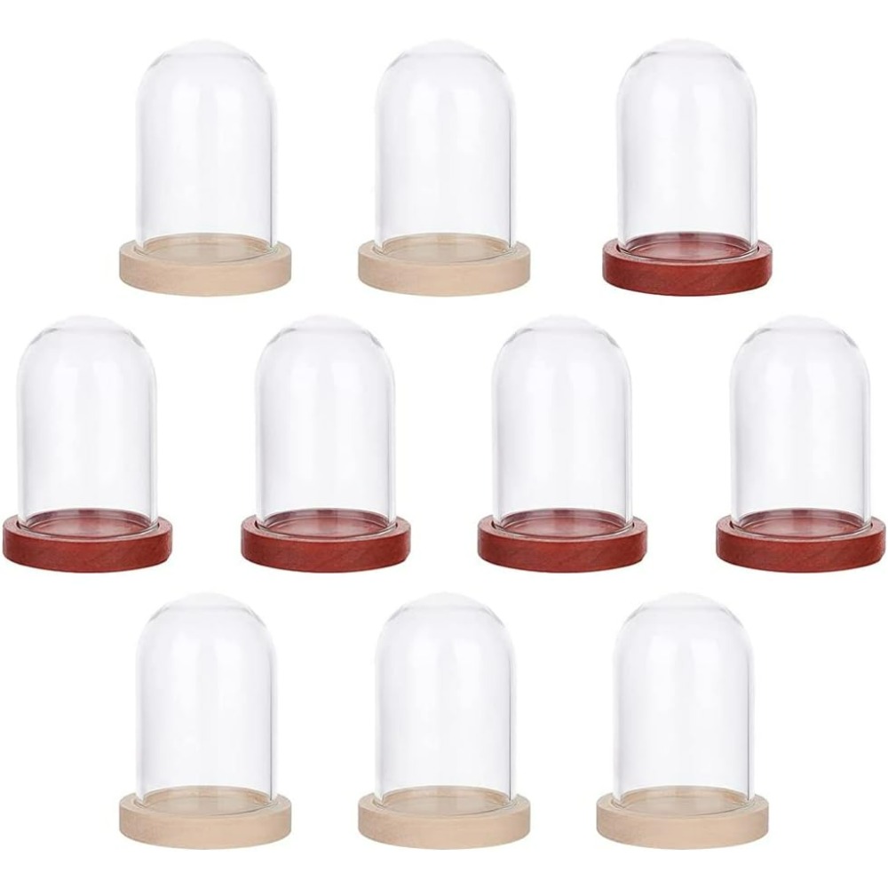 10 Sets Mini Eternal Flower Gl - đánh giá và giá Glass Container Set