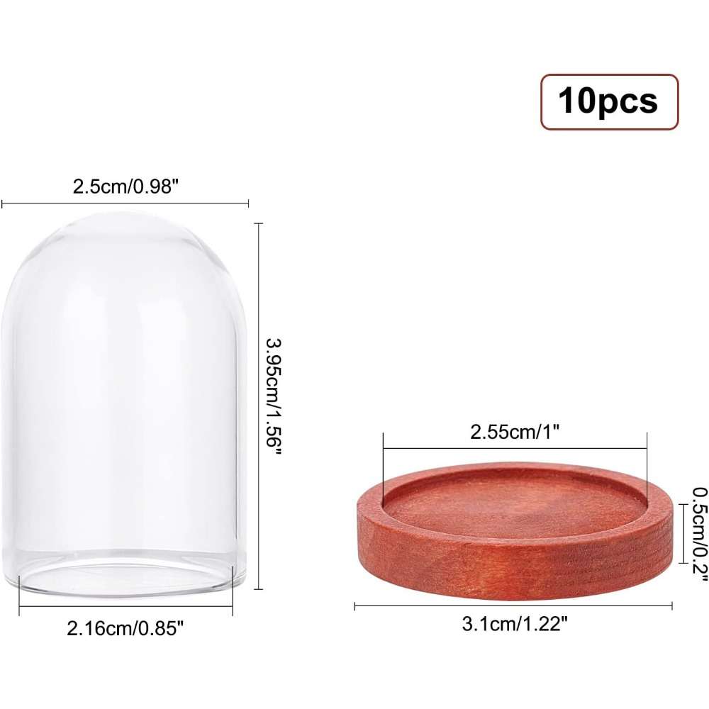 10 Sets Mini Eternal Flower Gl - đánh giá và giá Glass Container Set
