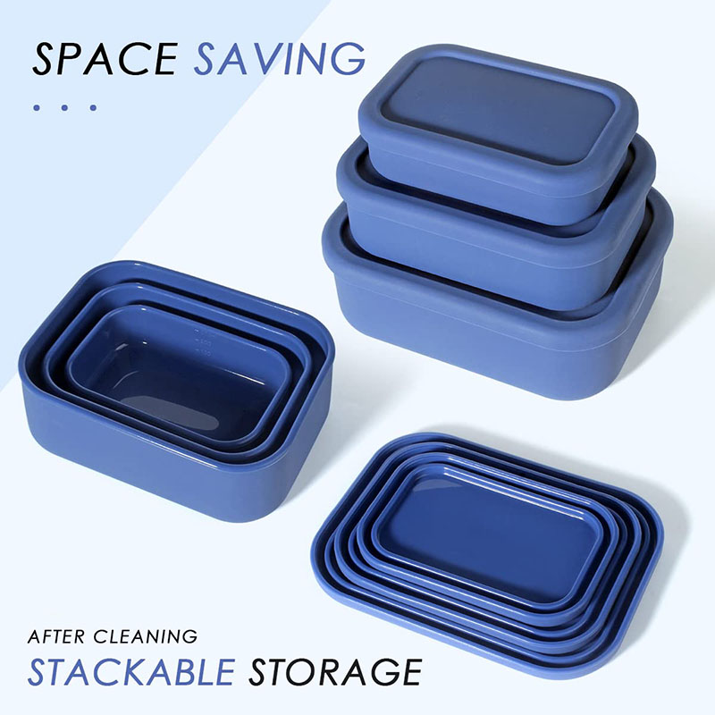 Leak-Resistant Bento Lunch Box - đánh giá và giá Meal Prep Lunch