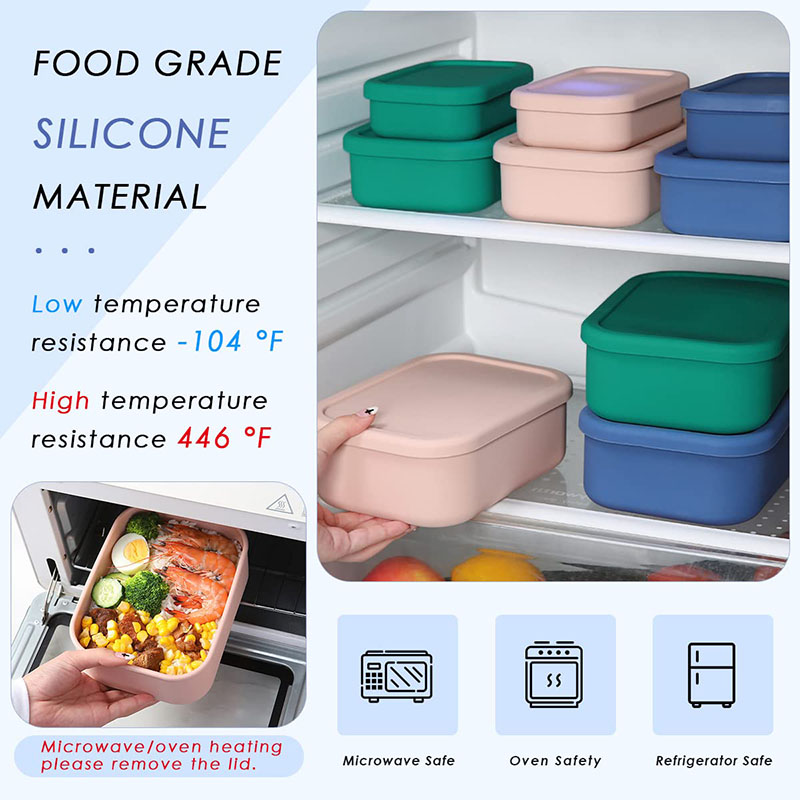 Leak-Resistant Bento Lunch Box - đánh giá và giá Meal Prep Lunch